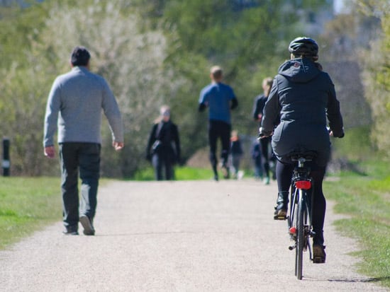 Radfahren_in_Park_park-life-2251981