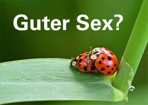 2024-Infokarte-guter-Sex-Bild