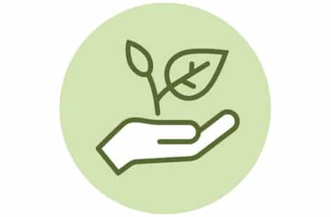 Pflanze_in_Hand(c)abart_Sv_gruen_3c1_web